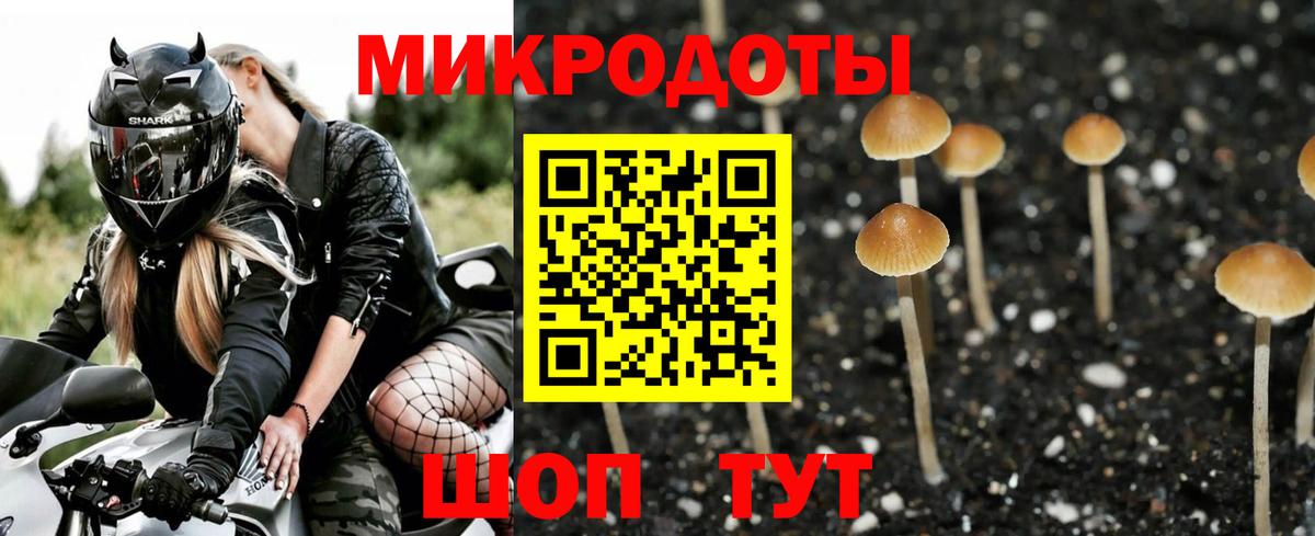 Галлюциногенные грибы прущие грибы Черногорск